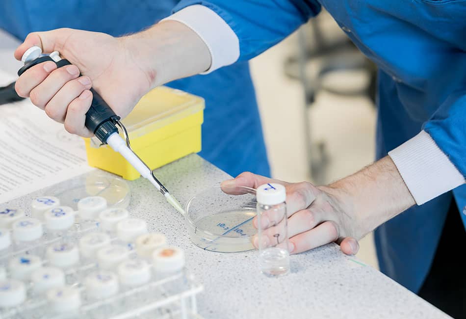 Conducting an experiment in a petri dish in a laboratory.